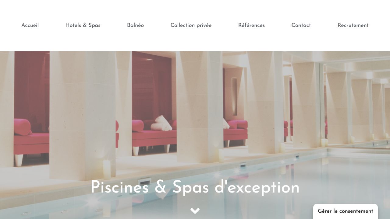 Capture du site de Idoine Piscines
